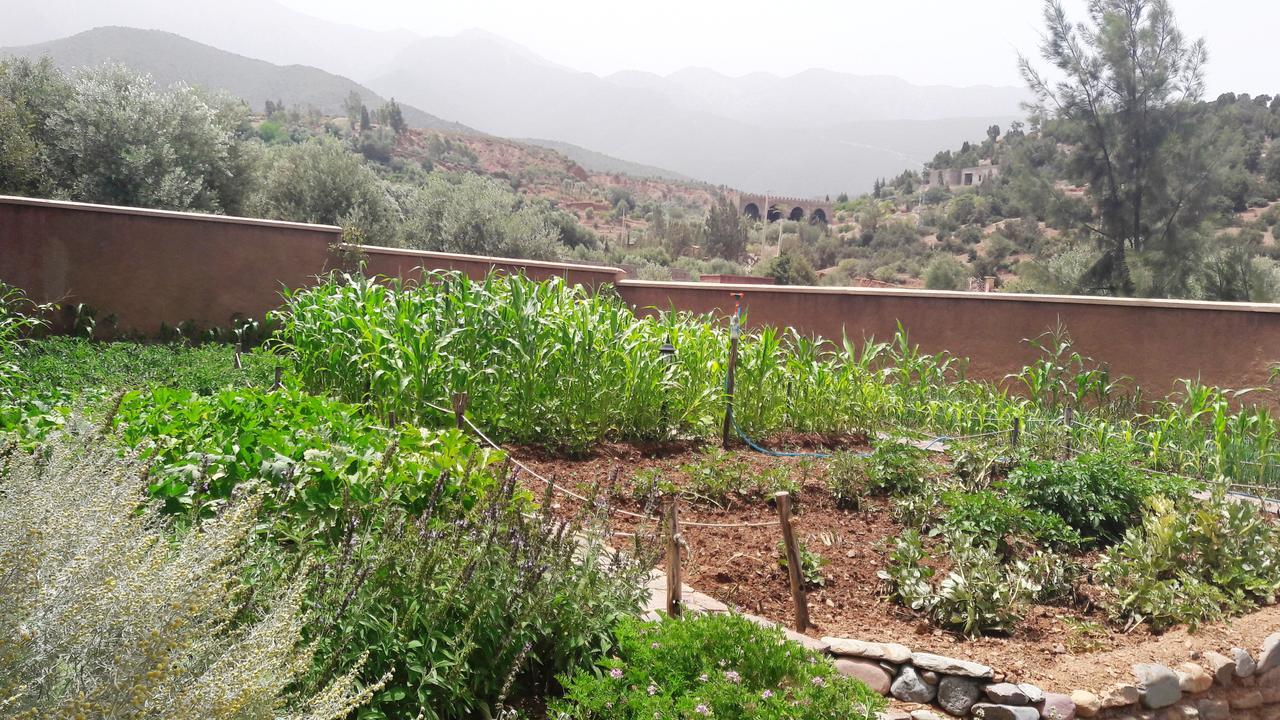 Ouirgane Ecolodge Eksteriør billede