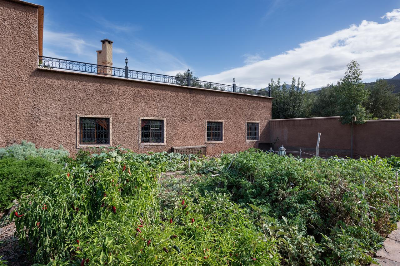 Ouirgane Ecolodge Eksteriør billede